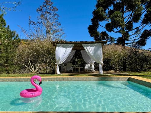 a swimming pool with a pink flamingo in the water at Luxury Retreat, Vale do Cafe, RJ in Paty do Alferes
