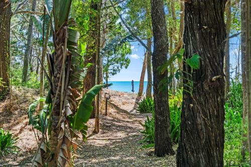 a path through the forest with the beach in the background at Sol Sanctuary- Beachfront in Toogoom
