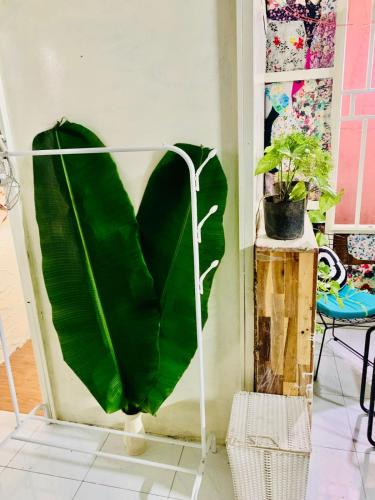 a large green banana leaf on a wall at Chill Door Homestay in Ấp Long Ðại