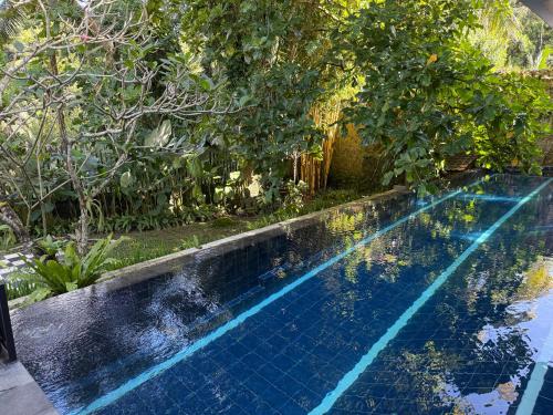 a swimming pool in a yard with trees at Griya Oma Nining-Large House with Swimming Pool in Bedoyo