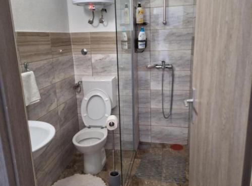 a small bathroom with a toilet and a shower at Apartment and Room Mare Vrlika in Maovice