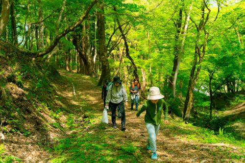 a group of people walking down a forest trail at Oyado Hisaya in Kami