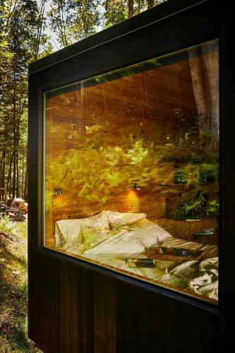 Κήπος έξω από το Postcard Cabins Dale Hollow