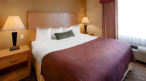 a hotel room with a large bed and a window at Best Western Plus Guymon Hotel and Suites in Guymon