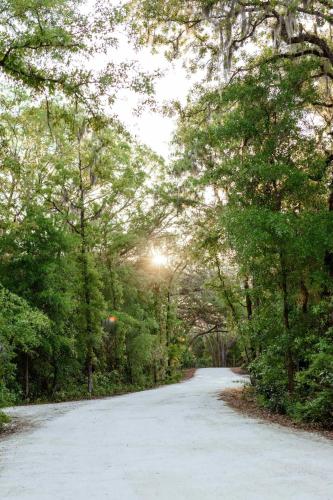a dirt road with trees on either side at Postcard Cabins Hill Country in Wimberley