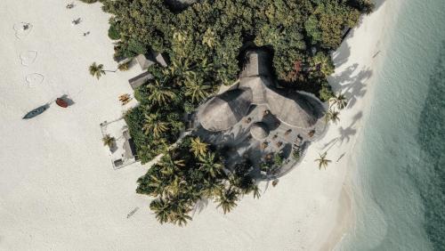 an aerial view of a beach with palm trees and the ocean at Coco Palm Dhuni Kolhu in Thulhaadhoo