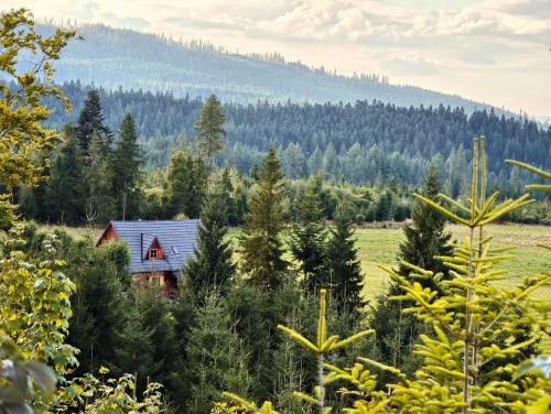 a house in the middle of a field with trees at Szałas na szlaku in Witów
