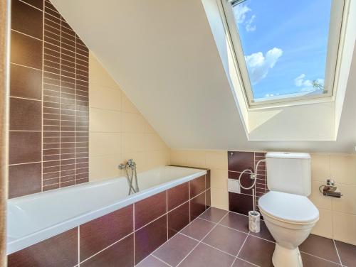 a bathroom with a toilet and a skylight at Byt 3kk in Frýdek-Místek
