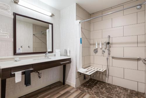 a bathroom with a sink and a shower at Hampton Inn Mesa Verde/Cortez Co in Cortez