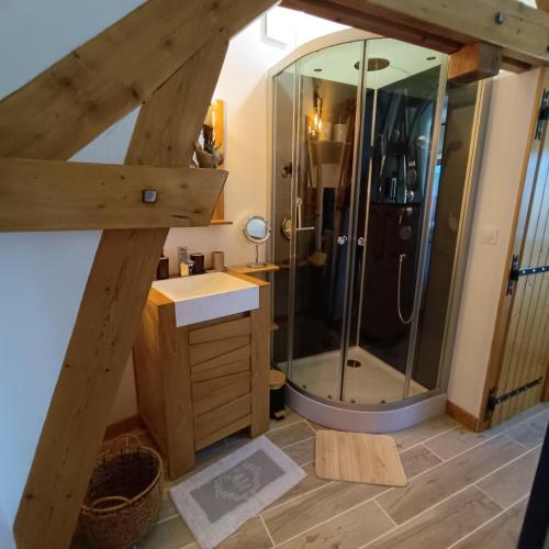 a bathroom with a shower and a sink at Chez Eric et Nath in Bois-Herpin