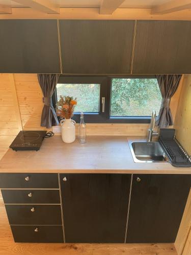 a kitchen with a counter with a sink and two windows at L'Uliveto X by Tiny Away in Castilenti