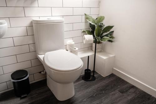 a bathroom with a white toilet and a plant at Cardross Inn in Cardross