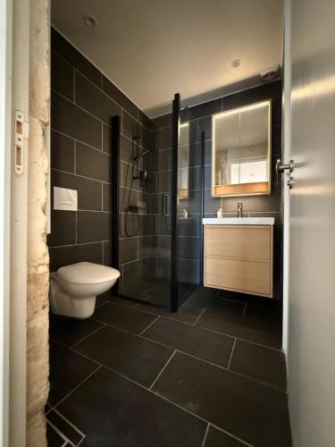 a bathroom with a toilet and a sink and a shower at Studio du Cherche Midi in Jarnac