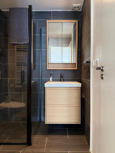 a bathroom with a sink and a mirror and a shower at Studio du Cherche Midi in Jarnac