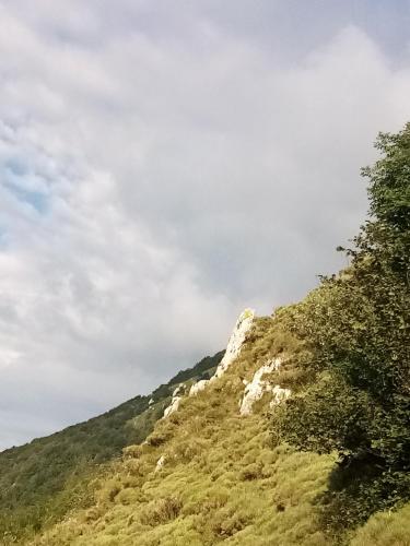 a mountain with trees and a cloudy sky at Ristorante e B&B IN SELLA in Pozzis
