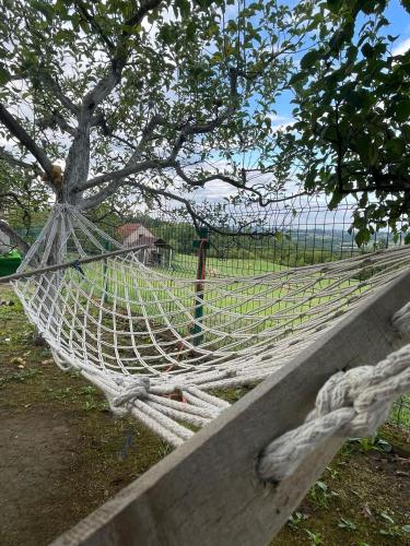 a hammock in front of a tree with a fence at Zeleni horizont 