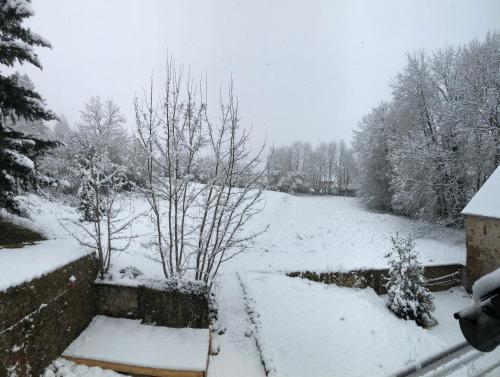 a snow covered yard with trees and a field at Les gites du renard souriant in Cussy-en-Morvan