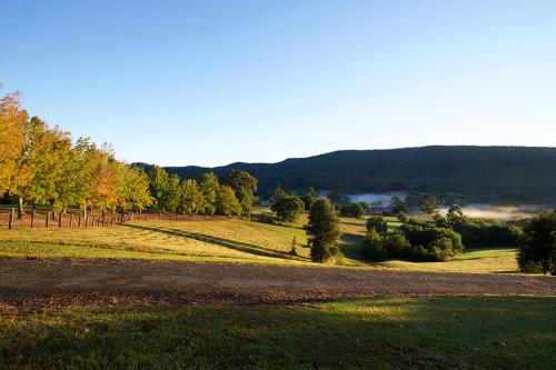 a grassy field with a dirt road and trees at Clarendon Forest Retreat in Possum Brush