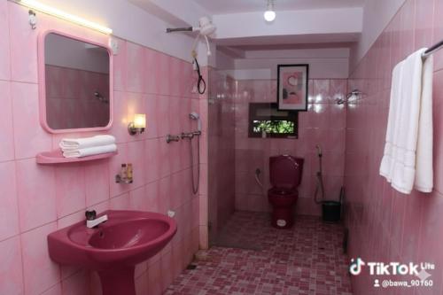a pink bathroom with a sink and a toilet at The bawa guest Inn in Haputale