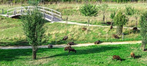 a herd of animals grazing in a field with a bridge at Le Green des Impressionnistes in Ennery