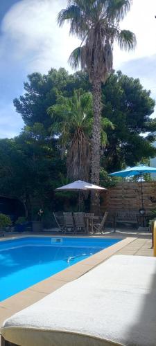 un palmier avec deux parasols et une piscine dans l'établissement Maison jardin grande piscine, à Marseille