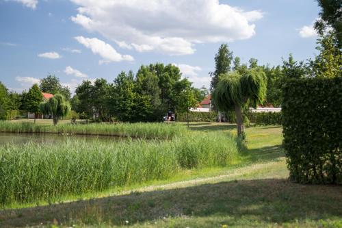 a park with tall grass and a lake at Resort Boschmolenplas in Heel