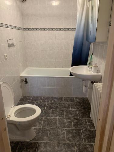 a bathroom with a toilet and a sink at Foistovic Ranč in Staré Sedlo