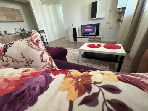 TV a/nebo společenská místnost v ubytování Apartamentul Familiei 3 langa Aeroport Otopeni