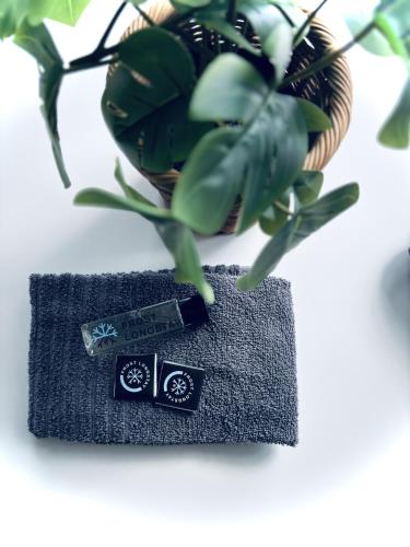 a towel next to a basket with a plant at Frost Longstay Lakeside in Kiruna