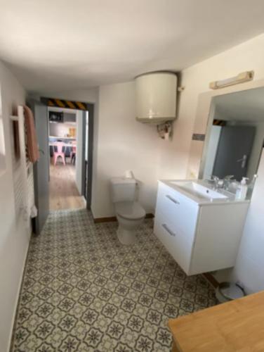 a bathroom with a toilet and a sink at V3 Studio tout confort plein centre 5 min Golfech in Valence-dʼAgen