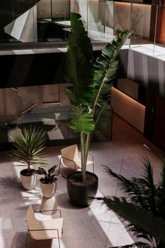 Fotografie z fotogalerie ubytování TocToc Suites Olof Palme - Viviendas Vacacionales v destinaci Las Palmas de Gran Canaria