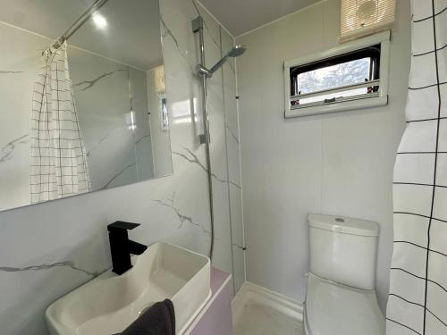 a bathroom with a sink and a toilet and a mirror at The Little Pod - Forest View in Ballynameen