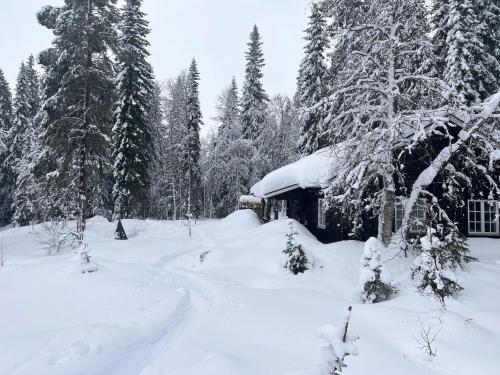 a cabin covered in snow in a forest at Charming Cabin At The Foot Of The Mountain in Jordet