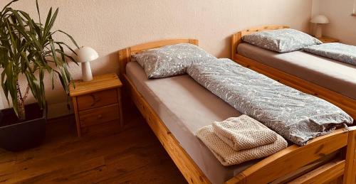 two beds in a room with a potted plant at Apartment mit Balkon in Roßlau in Dessau