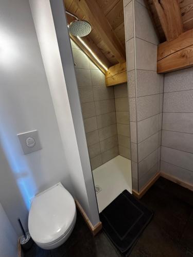 a bathroom with a toilet and a shower at Maison Cœur Clarée in Névache
