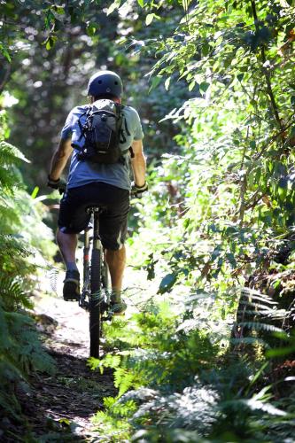 a man riding a bike on a trail in the woods at Clarendon Forest Retreat in Possum Brush