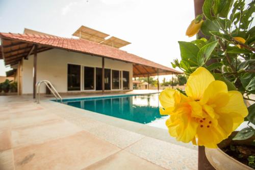 a yellow flower next to a swimming pool at Aeon Root Bridges by Tripture - Villa at Nandi Hills in Nandi