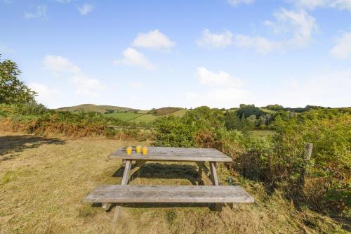 a wooden picnic table sitting in a field at 4 Bed in Halfway oc-t33077 in Llandovery