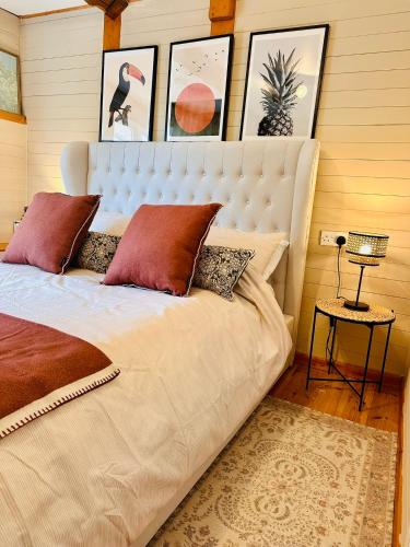 a bedroom with a large bed with red pillows at The annex on our farm in Colwyn Bay