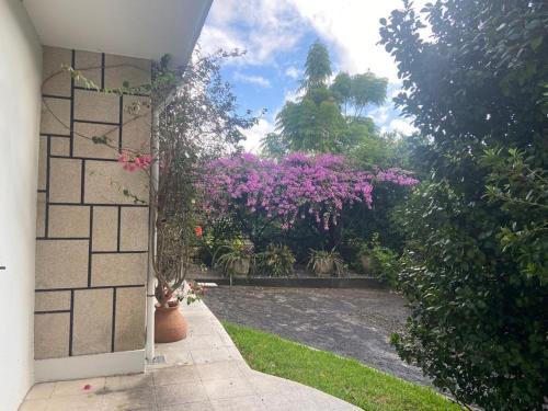 an entrance to a garden with pink flowers at Quinta do Vale Vaqueiro in Sever do Vouga