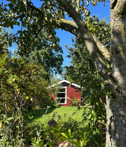 a red house through the trees at Sfeervolle, historische woonwagen en extra studio in ruime tuin in Rohel