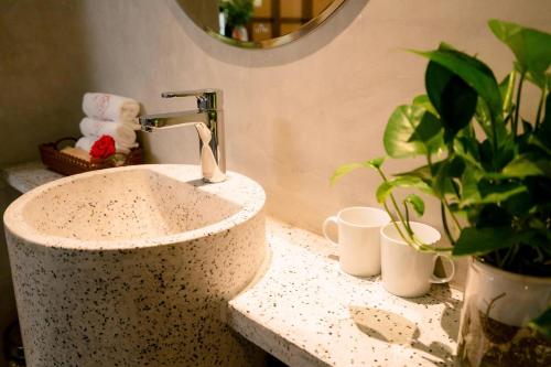 a bathroom sink with two cups and a potted plant at Toàn Cầu Hotel Quảng Bình in Dong Hoi