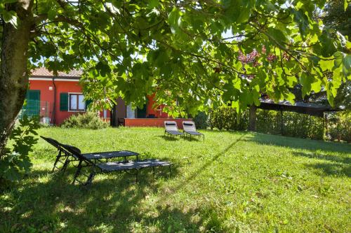two benches sitting in the grass under a tree at Apartment Noal in Calmasino