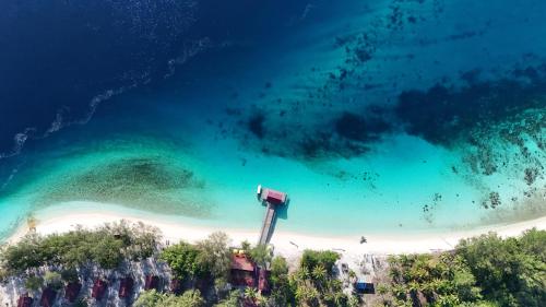 an aerial view of a beach and the ocean at Andau Dive Resort Raja Ampat in Tapokreng