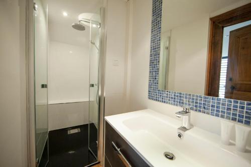 a bathroom with a sink and a glass shower at Le Petit Vigneau in Ménil