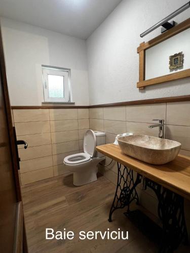 a bathroom with a sink and a toilet at Casa Luna Șirnea in Şirnea