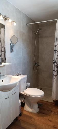 a bathroom with a toilet and a sink and a shower at Carolina Apartments Crete in Agia Pelagia