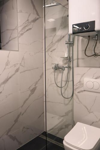 a bathroom with a shower and a toilet at Alinar Oasis Budget Hotel in Sarajevo