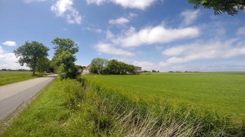 a field of green grass next to a road at Hotel, Restaurant, Café Pharisäerhof - Nordseeurlaub mit Hund in Nordstrand