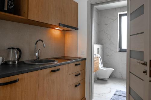 a bathroom with a sink and a toilet at Elysium House in Truskavets